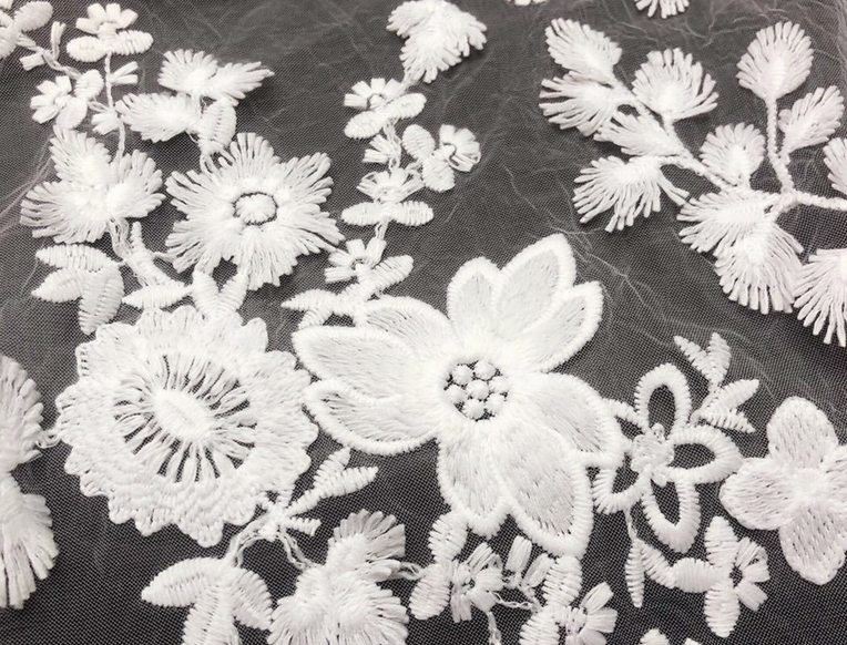 Picture of embroidered lace